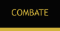COMBATE